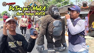 PUTRA PA"I MUDA - ASINE BANYU MATA | VOC. Fahmi PPM | indramayu Desa kali mati