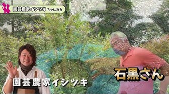 ブルーベリーの育て方 Youtube