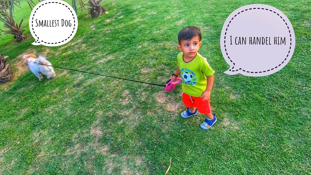 I Love Dogs ️ best dog place in Noida Extention for dogs 🐕 YouTube