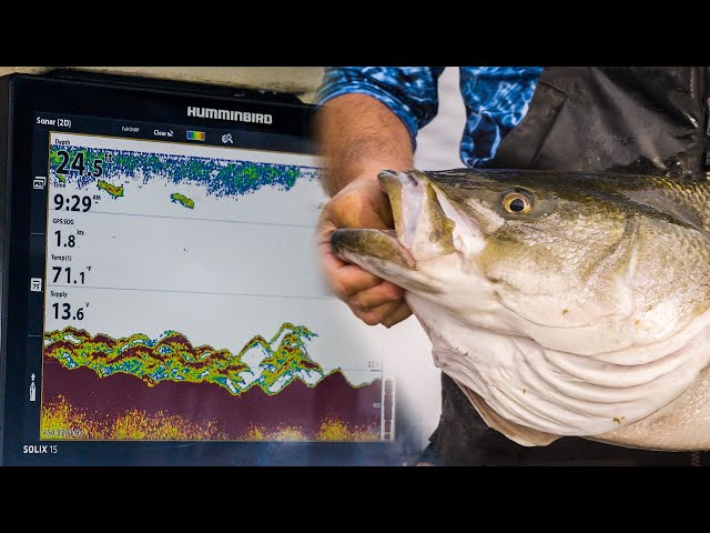 Using Side Imaging to Maximize Your Striped Bass Fishing with Capt