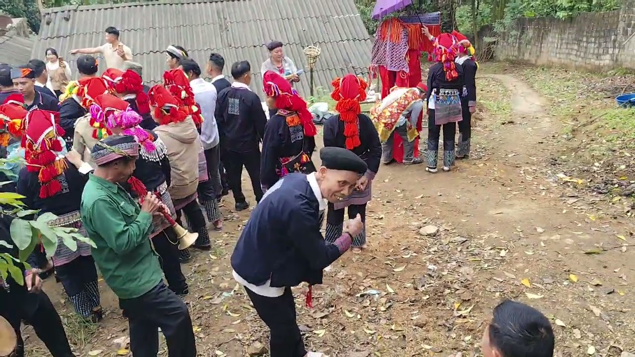 Iu miền tằng loỏng lào cai