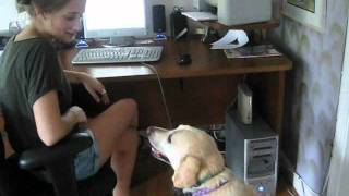 Deca Petmeds Commercial