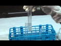 Chemical Tests for Carbonate Ions