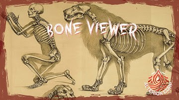 Bone Viewer - Showcase | RDR2 RedM