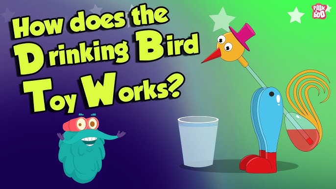  LatestBuy Duncan The Drinking Bobbing Bird : Toys & Games