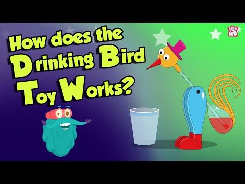 How The Drinking Bird Toy Works? | DRINKING BIRD TOY | Dr Binocs Show | Peekaboo Kidz