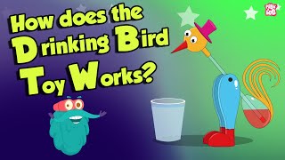 How The Drinking Bird Toy Works? | DRINKING BIRD TOY | Dr Binocs Show | Peekaboo Kidz