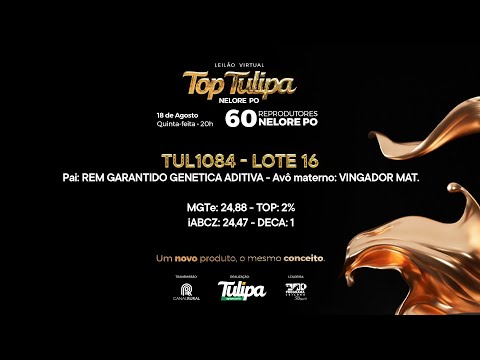 lote 16   TUL 1084