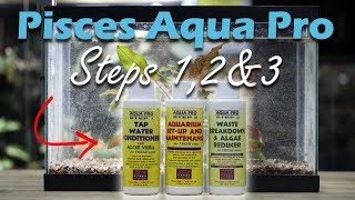 3 Steps for Perfect Aquarium Water