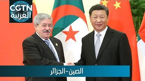 الرئيس الصيني يلتقي رئيس الوزراء الجزائري ورئيس الحكومة المغربية كلا على حدة