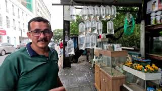 AQUARIUMS, ORNAMENTAL FISH, ACCESSORIES, FLORIANO PEIXOTO STREET RECIFE. 07/26/26. AQUARIUMS, ORNAMENTAL FISH, ACCESSORIES, FLORIANO PEIXOTO STREET RECIFE. 07/26/26.