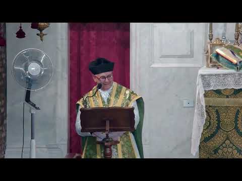 09/20/2026 - 17th Sunday after Pentecost - Homily by Father Marco Laghi