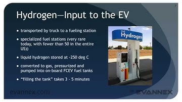 EV 310a—BEVs vs. FCEVs
