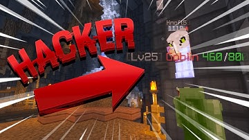 The DUMBEST HACKER (Hypixel Skyblock)