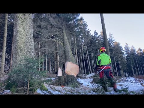 Video: Odkiaľ Prišli So Zástrčkou