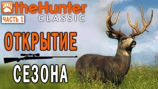 theHunter Classic #1 СТРИМ 🐶 - Открытие Охотничьего Сезона - Первая Охота theHunter Classic #1 СТРИМ 🐶 - Открытие Охотничьего Сезона - Первая Охота