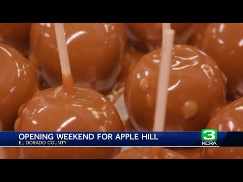 Visitors enjoy fall-like weather for Apple Hill's opening weekend