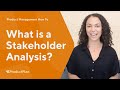 What is a Stakeholder Analysis? — Leading Successful Projects