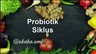 Probiotik Siklus  BIOSYAFA NATURA Herbal Meningkatkan Kualitas Sistem Pencernaan
