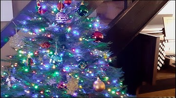 3rd Sunday of Advent (Guadate Sunday) - (Year B)