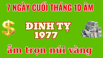 Đinh Tỵ 1977: THẦN TÀI ĐẾN NHÀ! Tiền Về NHƯ MƯA, Khẳng Định Vị Thế (TUẦN CUỐI THÁNG 10 ÂM)