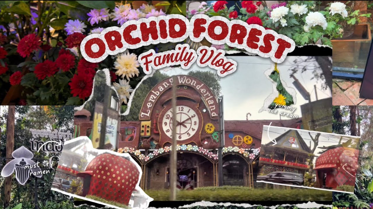 Healing ke Orchid Forest Bareng Keluarga 🌸🌿💚