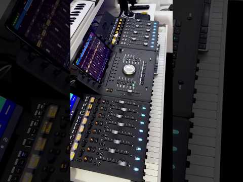 🎚️ Avid S1 | Avid Dock | Avid S1 📷 Nato Miller