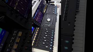 🎚️ Avid S1 | Avid Dock | Avid S1 📷 Nato Miller