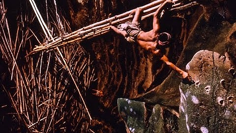 Edible bird nest harvest | How to make bird nest soup | Swiftlet Bird nest Processing | Sajeeb News