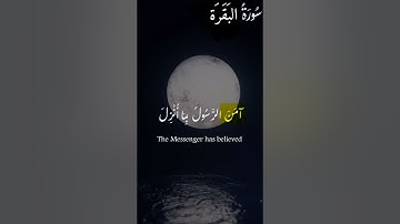 صلوا على النبي  ﷺ تُرفع درجاتكم 🤲#quran #اسلام #قرآن #راحة_نفسية #سورة_البقرة