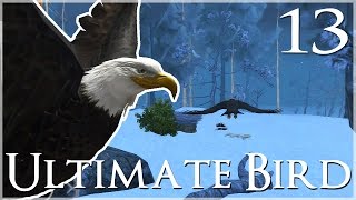 The Wilds of Winter Island!! 🐦 Ultimate Bird Simulator - Episode #13 screenshot 5