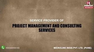 Project Management and Consulting Services by Microline India Private Limited, Pune