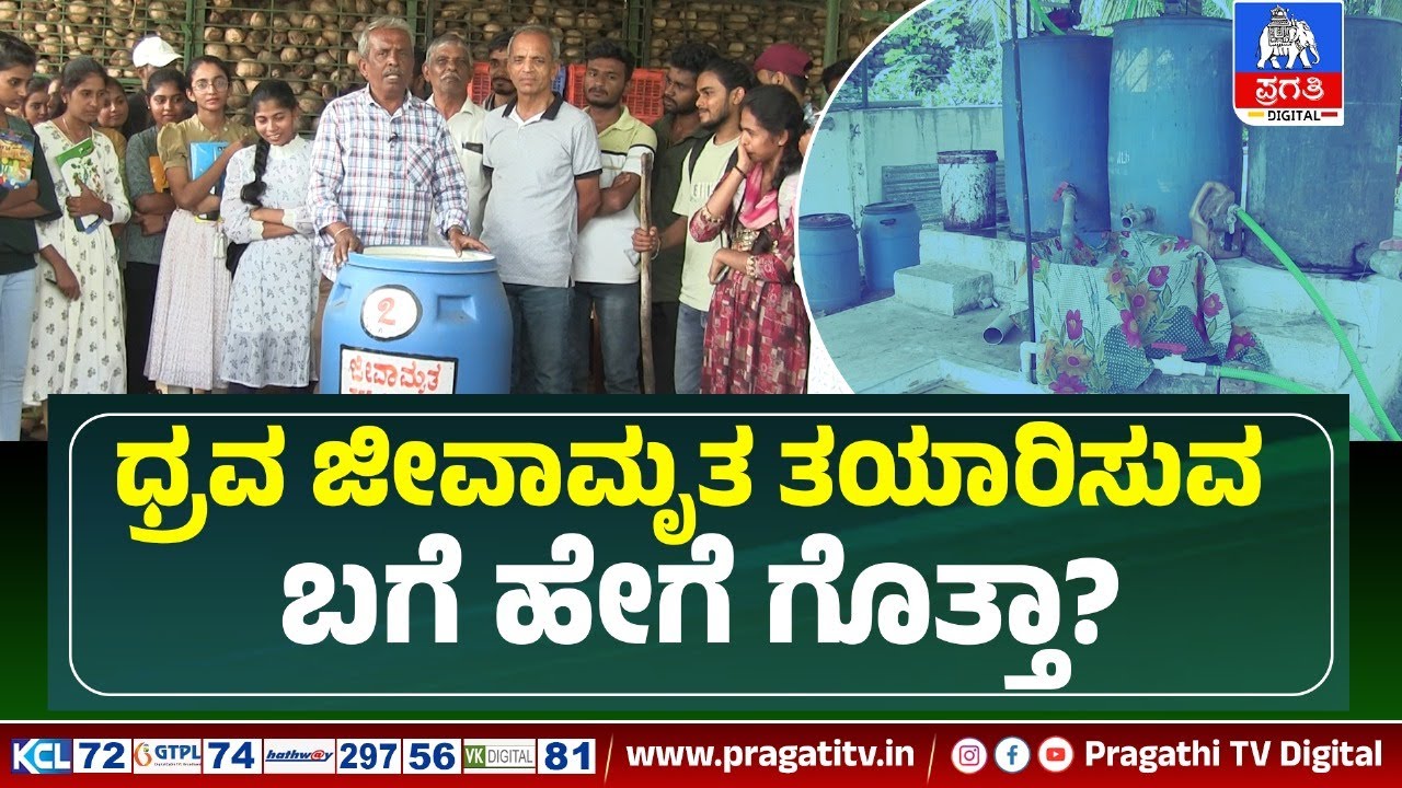 ಕಜ್ಜಿ ಆಗಿದ್ರೆ ಜೀವಾಮೃತ ಆ ಜಾಗಕ್ಕೆ ಹಚ್ಚಿ ಎಲ್ಲಾ ಮಾಯಾ  | Raitha pragathi