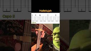 Hallelujah Easy Guitar Tab and Tutorial Part 2 - Leonard Cohen and Jeff Buckley - Shrek #guitar