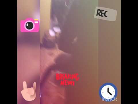 Pemain - YouTube