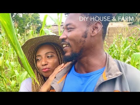 I Built A Dream Farm With My AFRICAN Sweetheart!