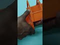 Pigeon Food Tray 9729831956