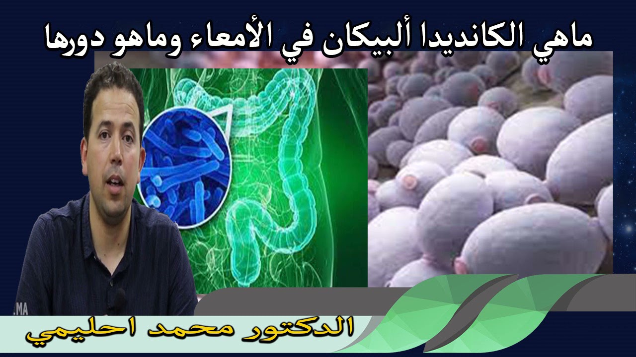 ماهي الكانديدا ألبيكان الأمعاء وماهو دورها الدكتور محمد احليمي