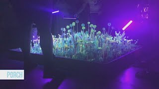Artist From Tulsa, Creator Of 'Moonbeam Flora' Featured In Netflix Documentary Series
