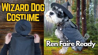 DIY Medieval Dog Cloak & Hat - Wizard Costume for Renaissance Faires & LARP
