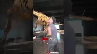 😳 IShowSpeed Sees the BIGGEST Dinosaur Ever