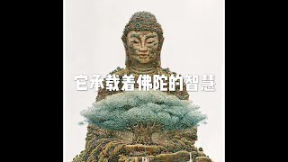 201501 它承载着佛陀的智慧32402