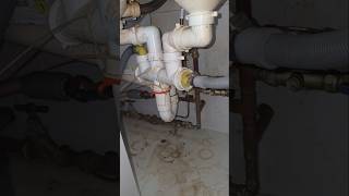 Hidden water leak! #leakdetection #plumbing #originalleakdetective #leakdetection #shorts