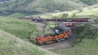 A westbound BNSF grain snakes its way up the grade near Bealville, CA.