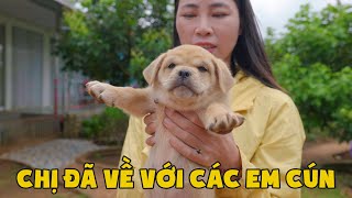 Chị Thơ Đã Quay Trở Lại Và Không Nhận Ra Đàn Cún Con Nữa