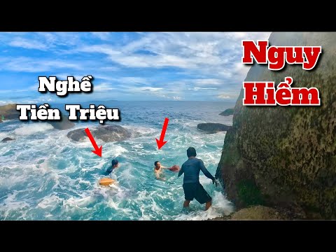 Video Nghề Hái Rong Mứt Nguy Hiểm Kiếm Tiền Triệu Mỗi Ngày - youtube