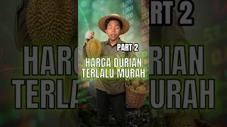 PART 2 | Durian RM2: Rezeki Atau Musibah?