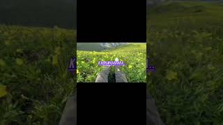 Kasaniko Chusoknade.