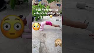 Usted puede ver los resultados? #humor #ingenieria #shortvideo #funny #viral #memes #futbol #risa