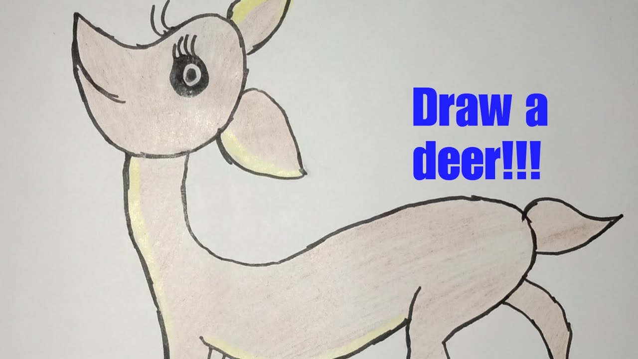 How to draw easy deer.....Draw easy deer step by step... - YouTube